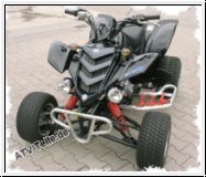 Sportfedern HR zum tieferlegen fr Yamaha 660R