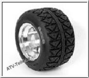 255/60-10 o. 22x10-10 Maxxis Goldspeed C9203, 4PR, TL