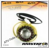 RM-Stator Lichtmaschinen fr Eton, Kymco und Polaris